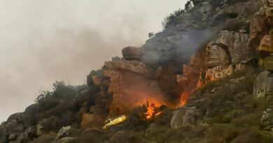 The plane that crashed