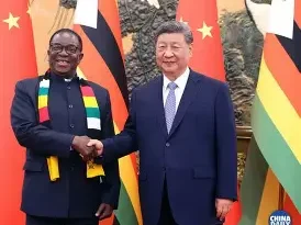 Lithium mining operations in Zimbabwe as Yahua Industrial Group receives export quota approval
