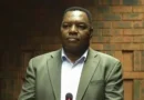 National Police Commissioner Fannie Masemola placed on precautionary suspension amid police tender corruption probe