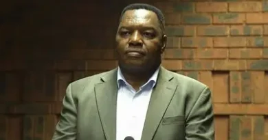 National Police Commissioner Fannie Masemola placed on precautionary suspension amid police tender corruption probe
