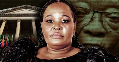 Political uncertainty in KwaZulu-Natal as kingmaker party delays decisions that could benefit Jacob Zuma