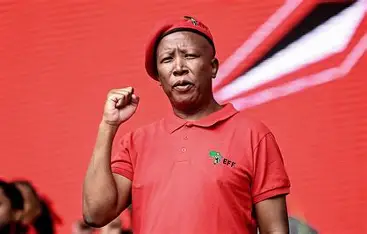 Ze Nxumalo denies claims that Julius Malema delivered cash in a Louis Vuitton bag during court proceedings