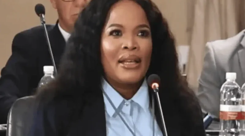 Hawks clarify Acting National Police Commissioner Puleng Dimpane is not under investigation.