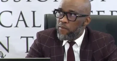 Vusimuzi Cat Matlala denies alleged Big Five cartel links at Madlanga Commission