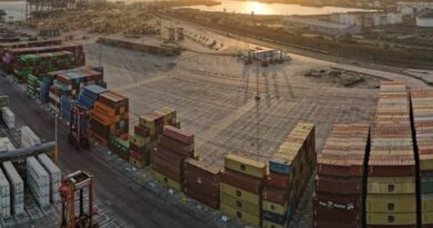 Durban port clears backlog