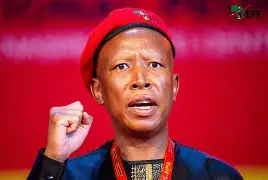 Malema ordered to apologies to judge