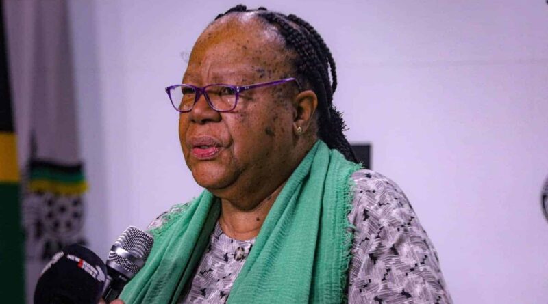 Naledi Pandor discusses ANC youth leadership and Frank Chikane for Johannesburg mayor