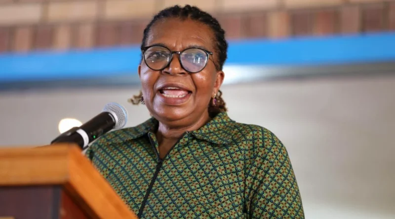 New social grant planned for millions of South Africans
