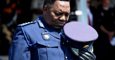 General Fannie Masemola reinstated as SAPS National Commissioner by President Cyril Ramaphosa