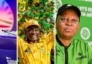 Local elections