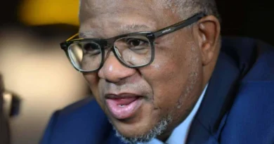 ANC secretary-general Fikile Mbalula addresses the party's Johannesburg mayoral candidate dispute