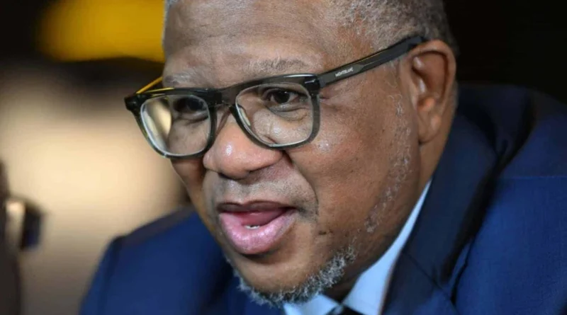 ANC secretary-general Fikile Mbalula addresses the party's Johannesburg mayoral candidate dispute