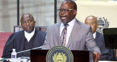 Finance Minister Enoch Godongwana ahead of South Africa's 2026 MTBPS